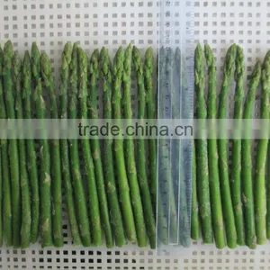 IQF Green Asparagus thumbnail-1