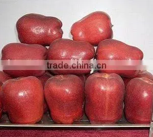 Red Delicious Apple/huaniu Apple thumbnail-1