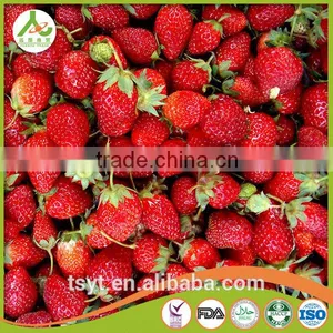 Frozen Strawberry Best Selling Products thumbnail-1