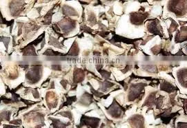 Moringa Leaves thumbnail-2