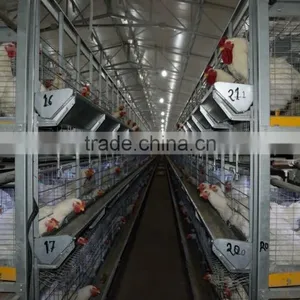 Battery Cages thumbnail-5