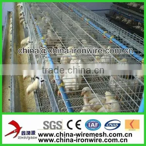 Chicken Cage thumbnail-1