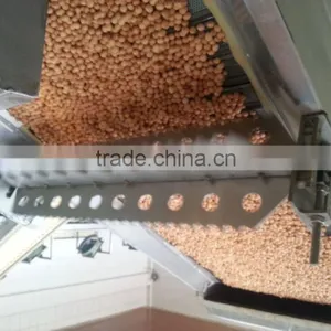 Coated and Flavored Peanut Equipments thumbnail-6