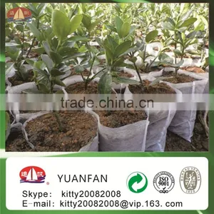Hot Sell 2016 Eco-friendly 100%pp Spunbond Nonwoven Fabric for Agriculturel / Garden thumbnail-1
