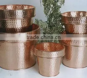 Planters thumbnail-1