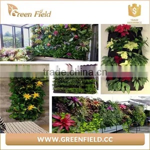 2017 Hydroponic Grow Bags Homemade Vertical Garden Planter Bags thumbnail-6
