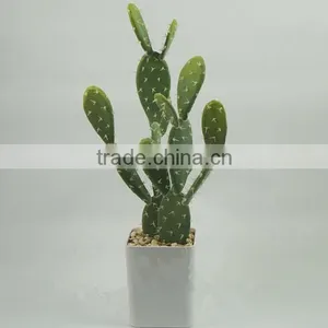 SJ3001107Ornamental Artificial Green Cactus Plants thumbnail-1