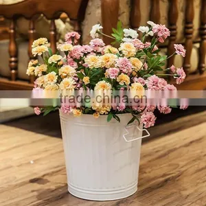 Galvanized Iron Compost Bin Trash Bin Laundry Bin Flower Planter With Handle and Lid thumbnail-5