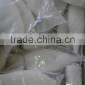 Frozen Tordarodes and Argentina Squid Tube thumbnail-4