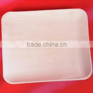 Biodegradable Tableware thumbnail-1
