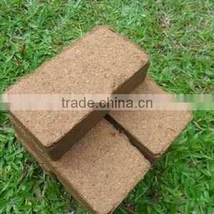 Coco Peat 650g Briquettes thumbnail-1