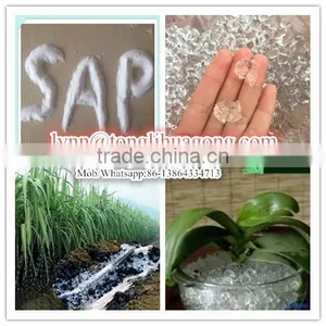 Super Absorbant Polymer Potassium Polyacrylate Agriculture thumbnail-5