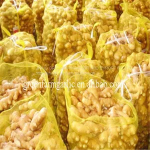 Jining Greenfarm Fresh Yellow Ginger thumbnail-1