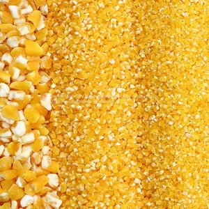 Multipurpose Corn Grain Mill Plant Mini Home Mazie Grits Making Machine Mais Crusher Barley Peeling Machine Moter-driven Corn Sheller thumbnail-3