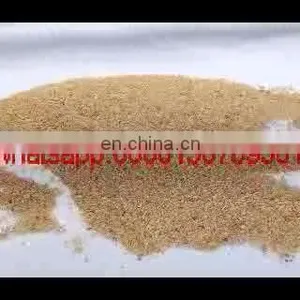 Cashew Nut Peanut Cutting Machine Good Performance Cashew Nut Crushing Machine thumbnail-1