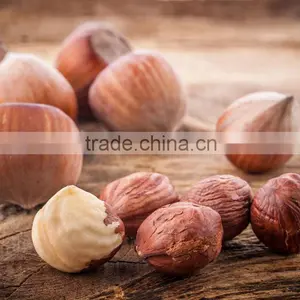 Raw Hazelnuts Kernels in Shell, Organic Hazelnuts, Blanched Hazelnuts.. thumbnail-1