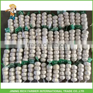 Wholesale Chinese Cold Storage Natural Garlic Exporter thumbnail-1