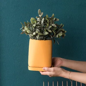 Morandi Color Fresh Round Ins Style Ceramic Vase Flowerpot For Scindapsus Aureus Potted Plant thumbnail-1