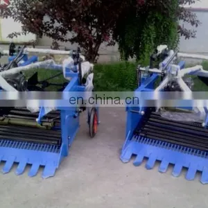 Tractor Mounted Yam Harvester 2 Rows Sweet Potato Harvester thumbnail-2