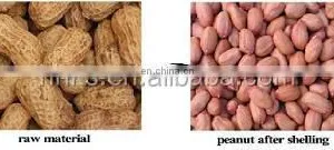 Cheap Big Model Peanut Shelling Machine Sets Peanut Sheller Group Peanut Husker Group Machine thumbnail-3