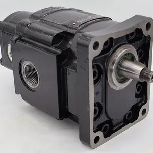 P365A578FEAB22-7 PGP330A197FJAB12-98 Gear Pump PGM PGP620 Series PGP517B0520CT1D7NE6E5+S-511A0110NE5E3 thumbnail-4