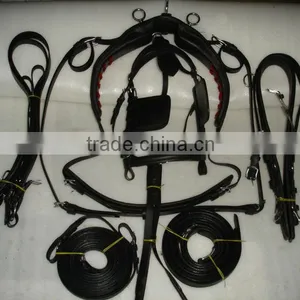 Racing Harness Set thumbnail-1
