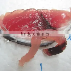 Fresh Yellowfin Tuna Loins thumbnail-2