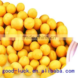 Soya Beans ,non-GMO,good Quality,cheap Price thumbnail-2