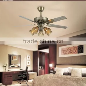 Indoor Fancy Lights With Ceiling Fans thumbnail-2