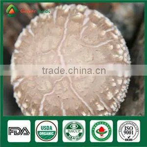 China Supplier High Quality Organic Greenhouse Fresh and Dried Shiitake Mushroom thumbnail-1