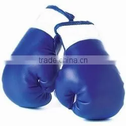 Blue Boxing Gloves thumbnail-1