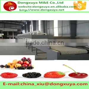 Microwave Capsules Drying Machine 12--200kw With High Quality-Dongxuya thumbnail-3