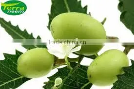 NEEM OIL PURE UNIVERSAL thumbnail-2