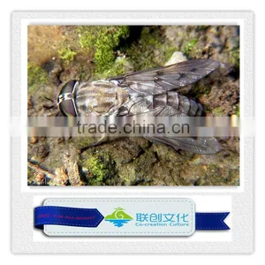 Theme Park Giant Ant Insect Models thumbnail-4