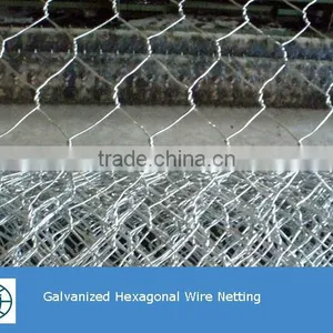 Cheap Price High Quality Fence Mesh Chicken Wire Mesh thumbnail-6