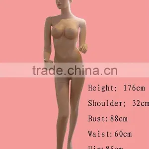 Female Mannequin thumbnail-2