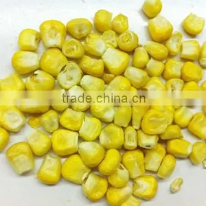 TTN Dried Corn Sweet Corn For Sale thumbnail-4