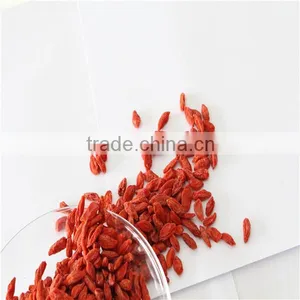 Wolfberry on Sale thumbnail-1