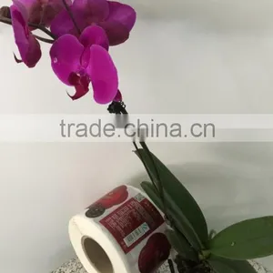 High Quality Cheap Price Paper/vinyl Rolling Glass Bottle Stickers Printed Self-adhesive Labels thumbnail-5
