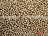 Millet thumbnail-1