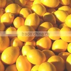 FRESH LEMON FROM SOUTH AFRICA thumbnail-3
