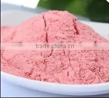 High Quality Instant Strawberry Powder thumbnail-1