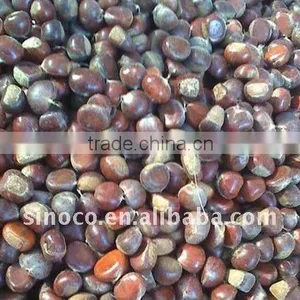 Sell Fresh Chestnut (40-60) thumbnail-1