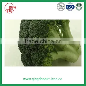 Bulk Chinese Cleaning Broccoli thumbnail-3