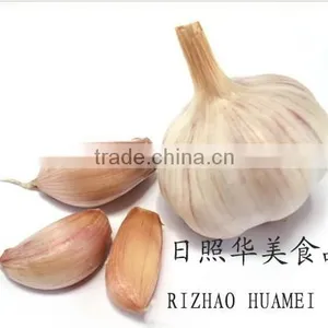 New Fresh Garlic thumbnail-1