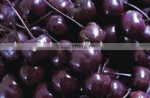 Canned Black MARASCHINO Cherry With Stem thumbnail-1