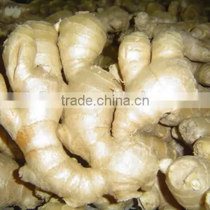 China Fresh Ginger for Sale thumbnail-2