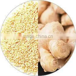 GINGER Ground Whole Cut Sliced thumbnail-1