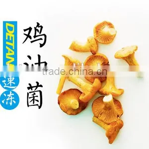 Frozen Chanterelles Best Price thumbnail-2