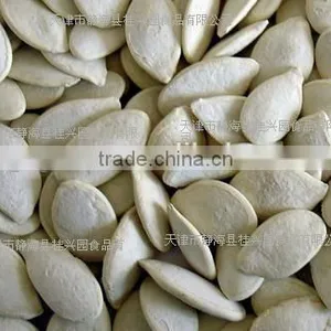 Sell Roasted-salted Pumpkin Seeds With Good Quality thumbnail-3